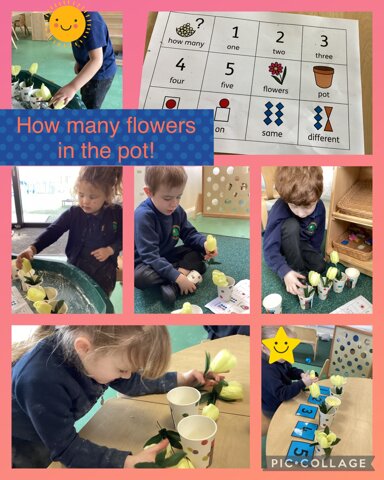 Image of How many flowers?