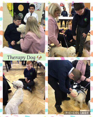 Image of Therapy Dog 