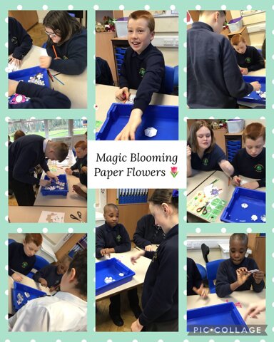 Image of Magic Blooming Paper Flowers! 