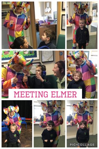 Image of Elmer!